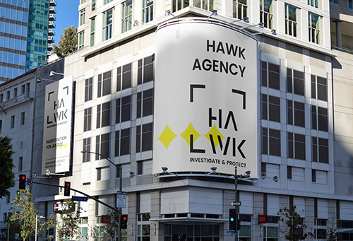 Hawk NY 2024-10 – 500px
